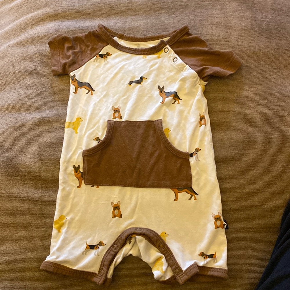 Kyte baby shortall in dog